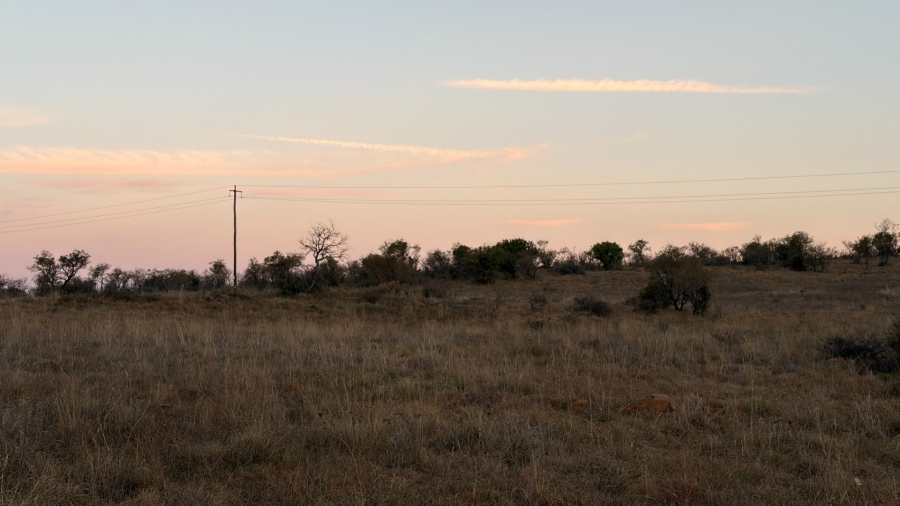 Commercial Property for Sale in Lekwena Wildlife Estate North West
